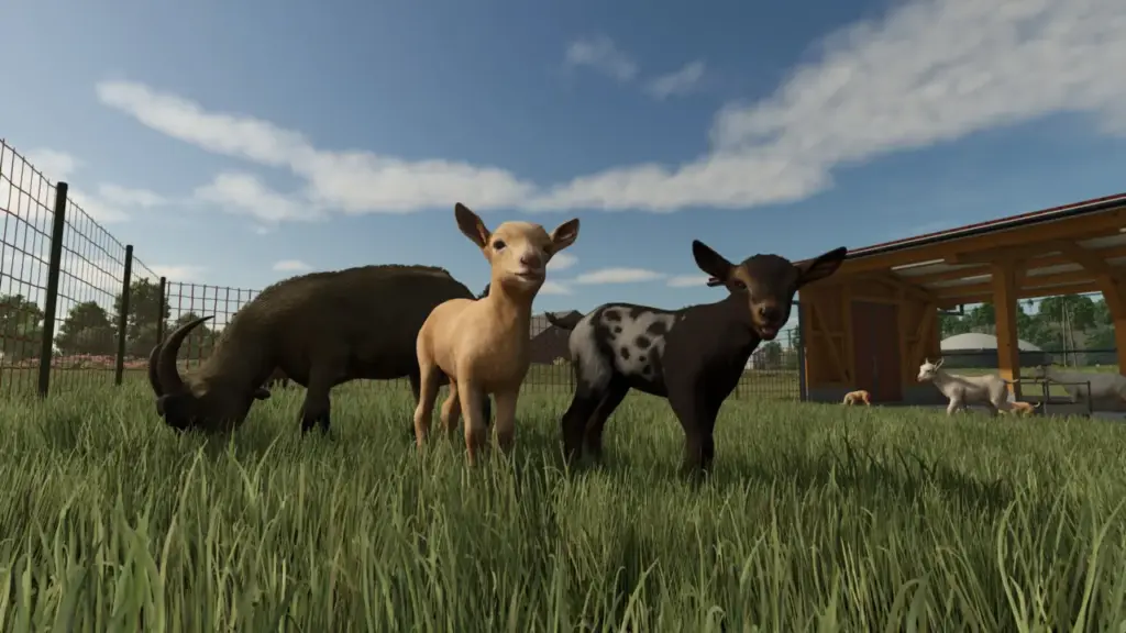 Farming Simulator 25 ekran görüntüsü 3