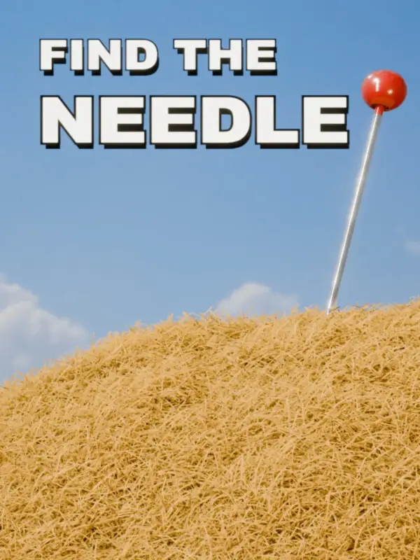 Find The Needle kapak görseli